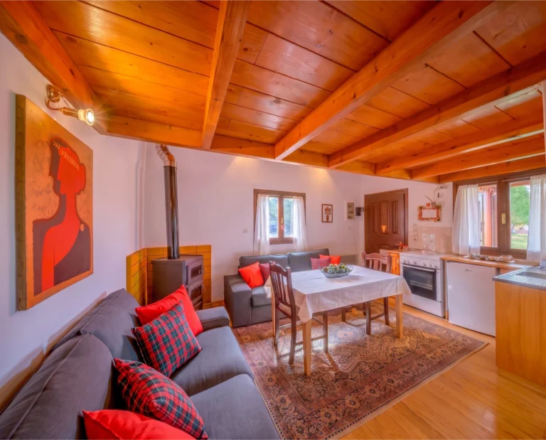 5_ΕΡΜΗΣ_living-room-and-kitchen-with-wood-stove